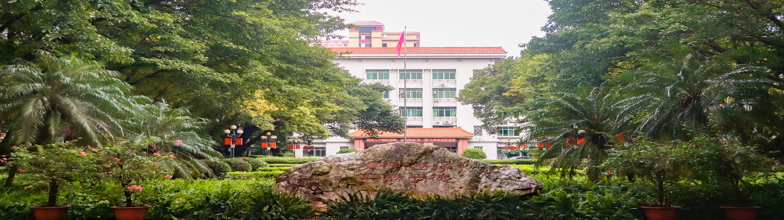 437ccm·必赢国际
